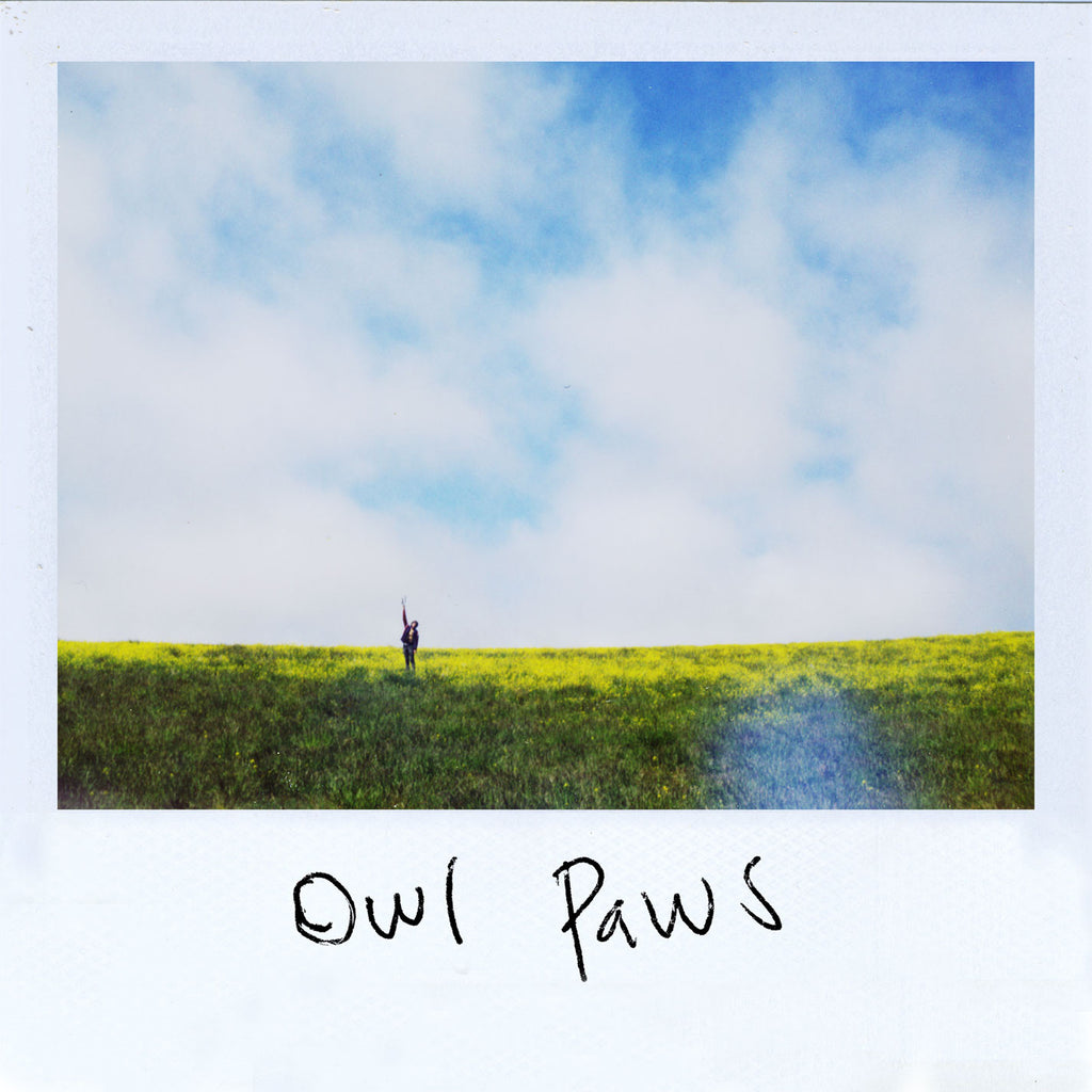 Owl Paws